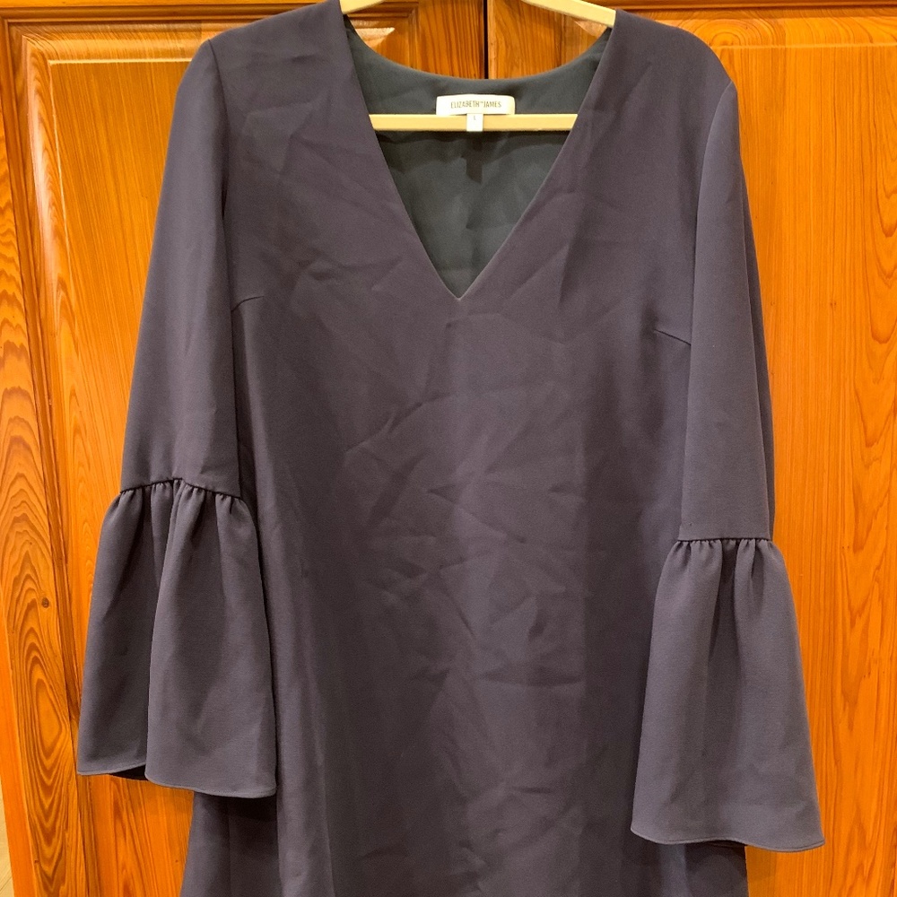 Elizabeth and James Flare Sleeve Dress